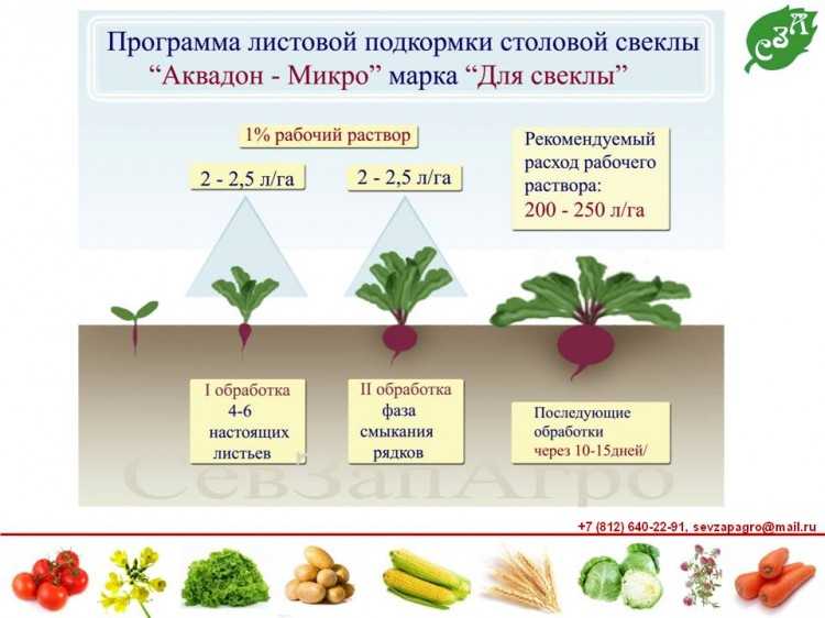 Чем удобрить картофель