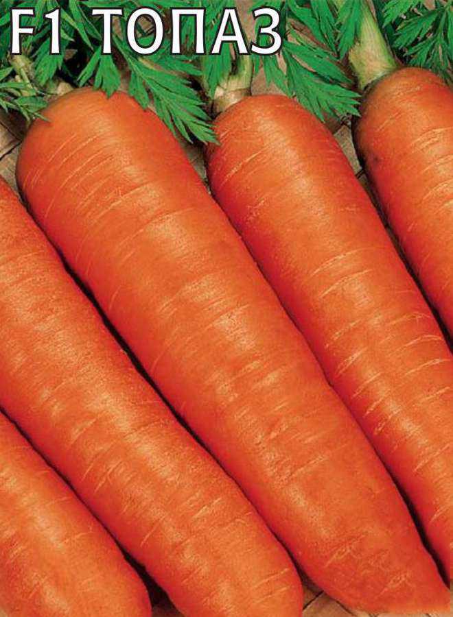 Лучшие сорта моркови для средней полосы. Морковь топаз f1. Раннеспелый сорт моркови семена. Морковь сорт цукат.
