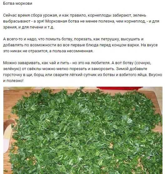 Польза морковной ботвы для человека