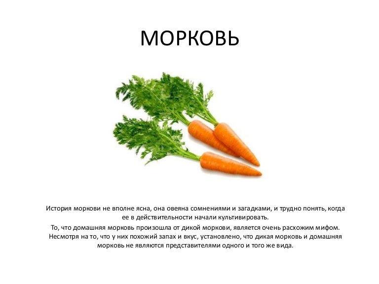 Проект мой любимый овощ