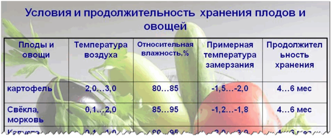 Срок хранения картошки. Условия хранения картофеля. Условия и сроки хранения овощей и плодов. Условия хранения картофеля температура. Условия хранения сульфитированного очищенного картофеля.