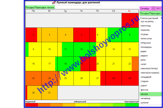 Благоприятные дни посадки чеснока в октябре. Лунный календарь на октябрь посадка чеснока. Когда можно сажать чеснок в октябре. Пермь. Лунный календарь посадки чеснока. Можно ли посадить чеснок после Покрова.