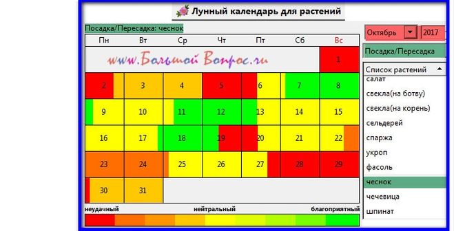 Какой число сажать чеснок. Посадка чеснока под зиму по лунному календарю.