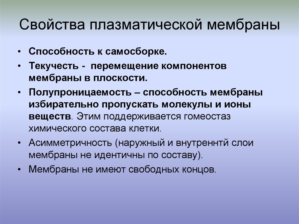 Через свойства. Основные свойства плазматической мембраны. Свойства плазматической мембраны. Характеристики плащматической мембрана. Основное свойство плазматической мембраны.