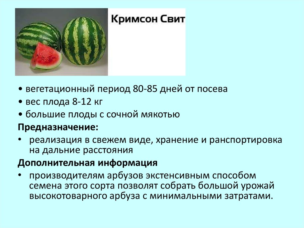 Когда сеют семена арбуза. Строение арбуза. Особенности строения арбуза. Технология выращивания арбуза. Схема выращивания арбуза.