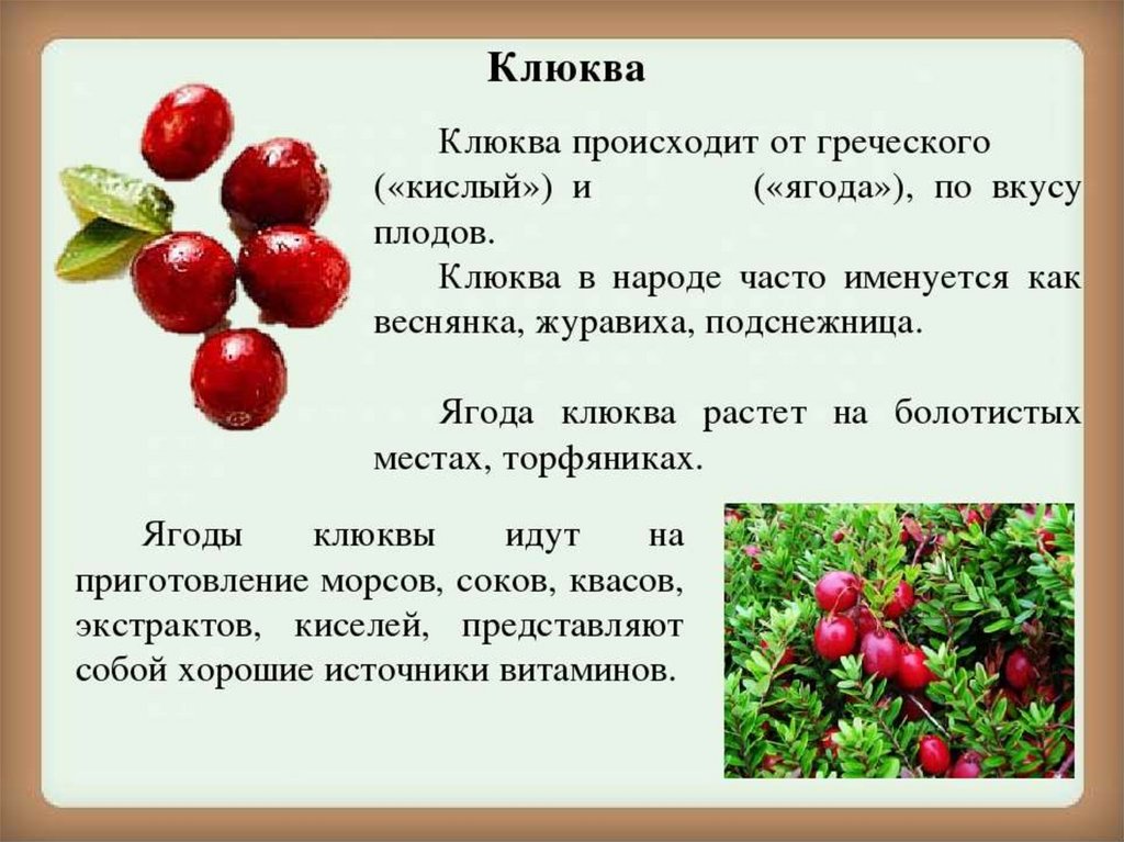 Ягода разбор. Описание ягод. Клюква описание. Презентация о лесных ягодах. Клюква презентация для детей.