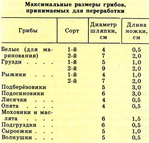 Масса гриба. Процент отходов грибов. Процент отходов грибов шампиньонов. Таблица отходов грибов. Процент отходов белых грибов.