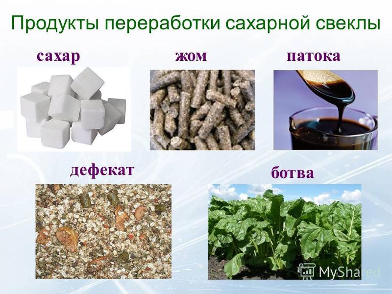 Сахар из сахарной свеклы. Отходы от переработки сахарной свеклы. Продукты переработки сахарной свеклы. Отходы сахарной промышленности. Производство сахара из сахарной свеклы.