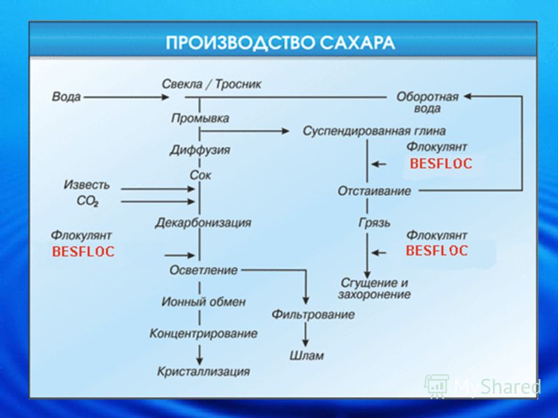 Технологическая карта производства сахарной свеклы