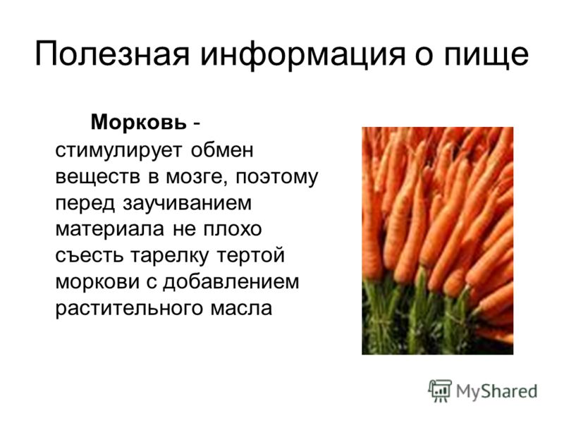 Польза моркови для организма