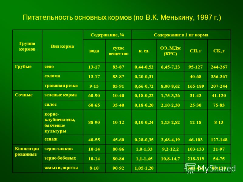 Кормовая единица