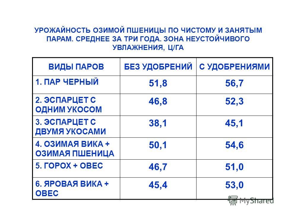 Средняя урожайность зерновых культур