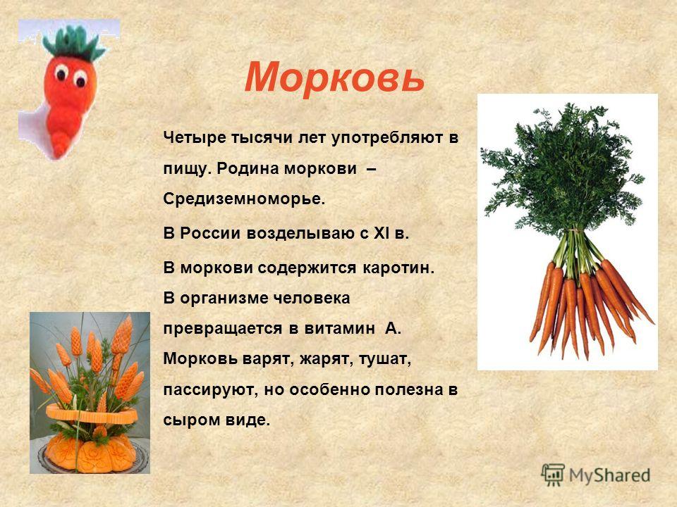 Культурное растение морковь