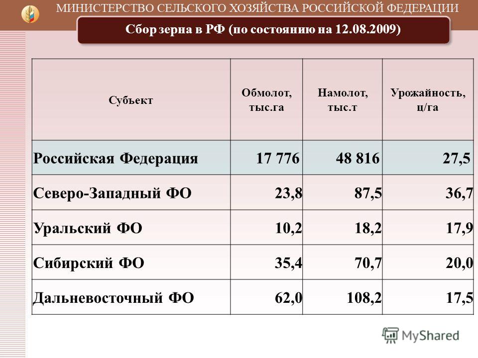 Сколько пшеницы собирают с 1 гектара