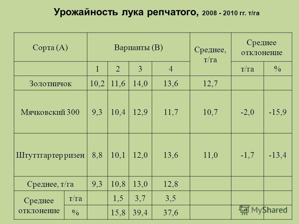 Средняя урожайность. Урожайность лука с га. Урожайность лука с гектара земли. Урожайность лука репчатого. Средняя урожайность лука.