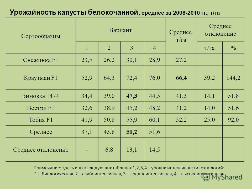 Средняя урожайность. Урожайность капусты белокочанной с 1 га. Капуста урожайность с 1 га таблица. Урожайность белокочанной капусты. Средняя урожайность капусты.