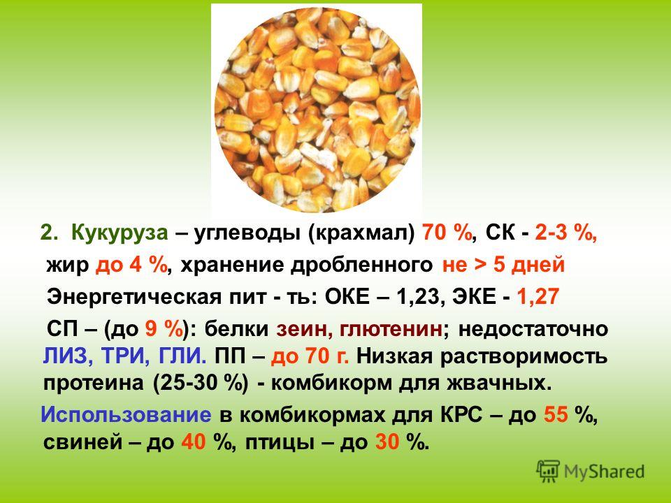 Кукуруза состав. Кукуруза углеводы. Кукуруза состав белки жиры углеводы. Кукуруза углеводы или белки. Белок в кукурузе.