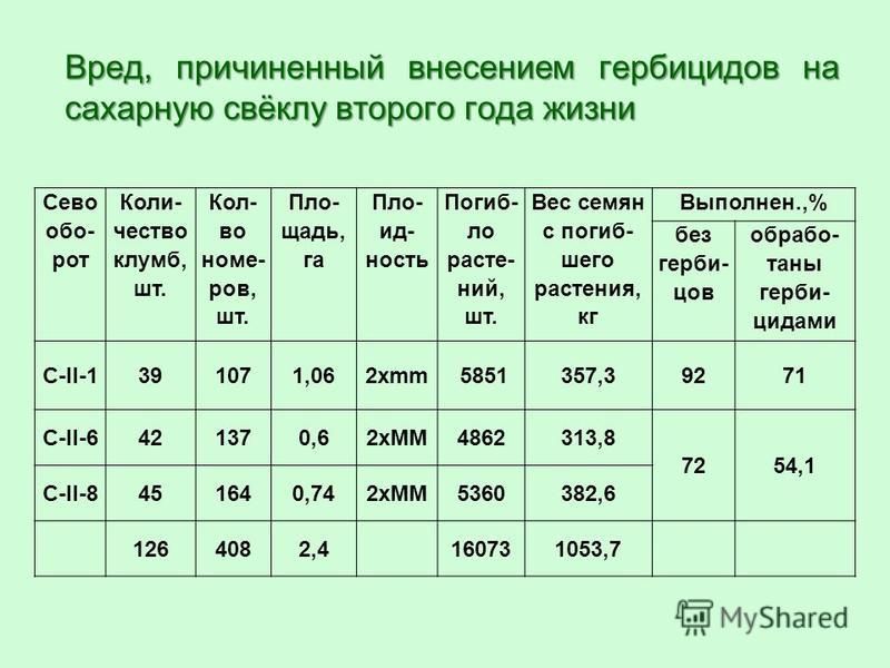 Можно давать коровам сахарную свеклу