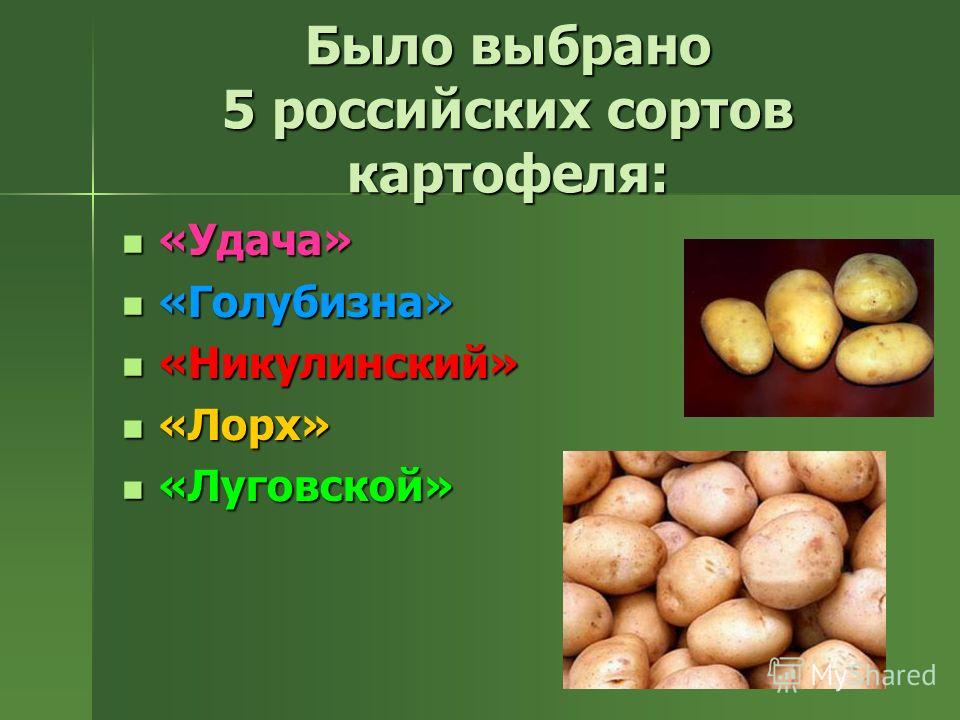 Картофель легенда описание сорта