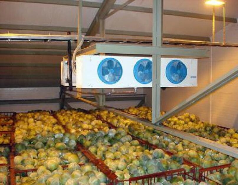 Холодильное хранение овощей. Оборудование для овощехранилища. Хранение овощей и фруктов на складах. Холодильная камера для овощей. Холодильник для плодов.