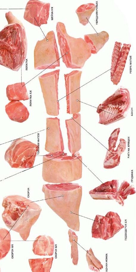 Части свиньи. Несортовой разруб свинины. Лопатка свинины разруб. Части разруба свинины.