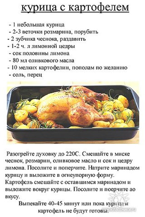Сколько можно запекать. Курица рецепты приготовления. Рецепты курицы в картинках. Курица с картошкой в духовке. Курица рецепт с описанием.