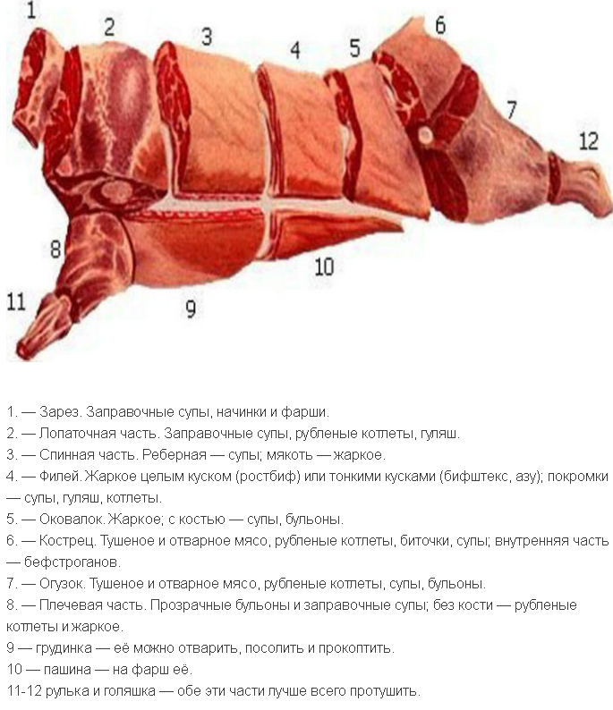 Части свиного мяса. Схема разделки свиной туши. Разделка мяса свинины схема. Схема разделки свиной туши на отруба. Схема туши говядины.