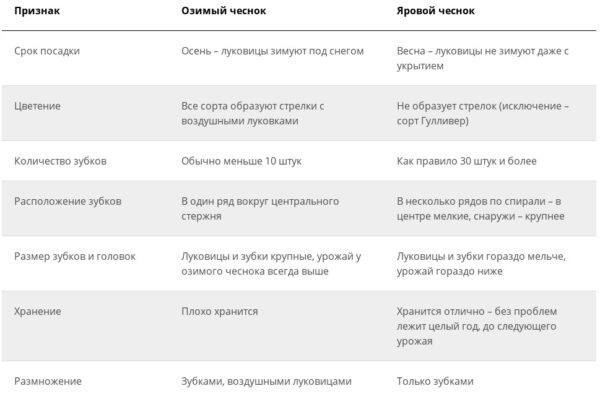 Схема удобрения чеснока