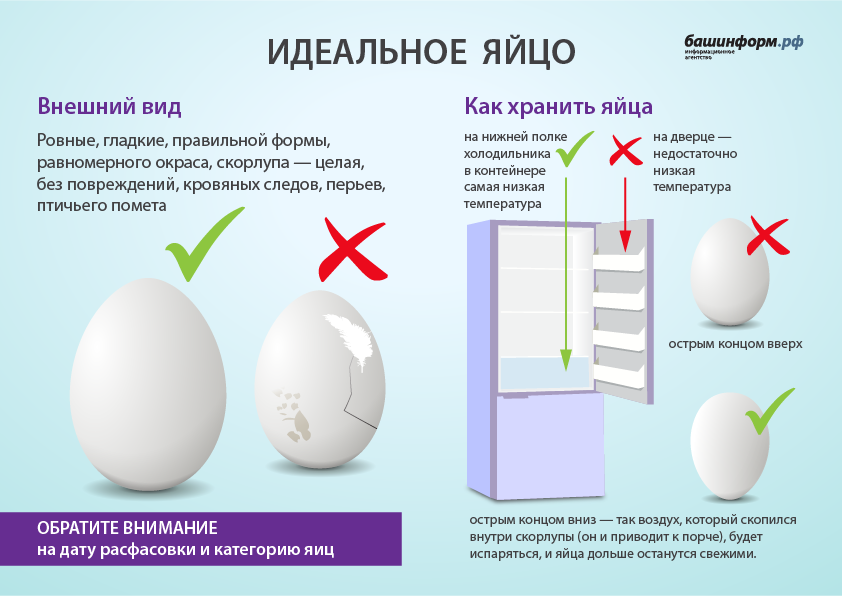 Как правильно выбирать яйца. Отличие куриных яиц по категориям. Как определить категорию яиц. Яйца в холодильнике. Как выбрать яйца.