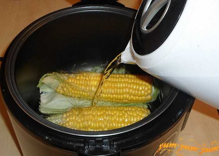 Варить початках в кастрюле. Мультиварка кукуруза в початках. Кукуруза в мультиварке редмонд. Кукуруза в мультиварке. Кукуруза в скороварке.