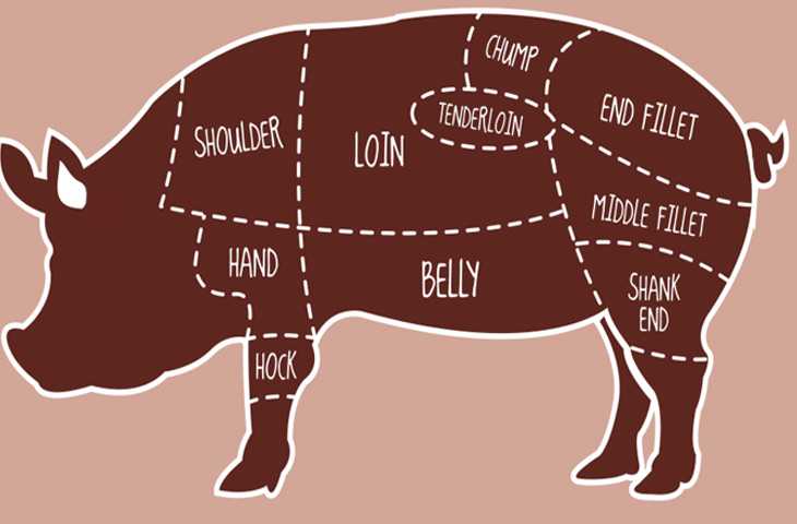 Лучшие части свиньи. Разруб туши свиньи вырезка. Мясо части туши свиньи. Схема мяса свинины. Части свиной туши схема.
