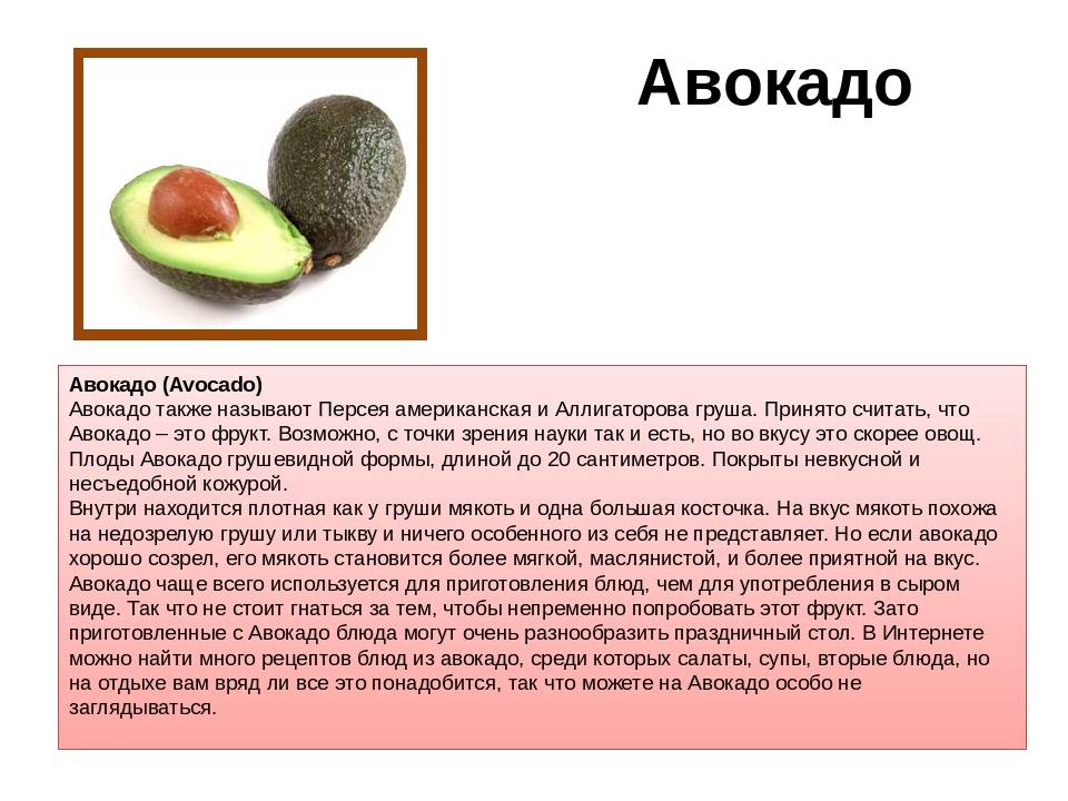 Почему авокадо это ягода. Авокадо вкус. Авокадо краткая информация. Презентация на тему авокадо. На что похож авокадо по вкусу.