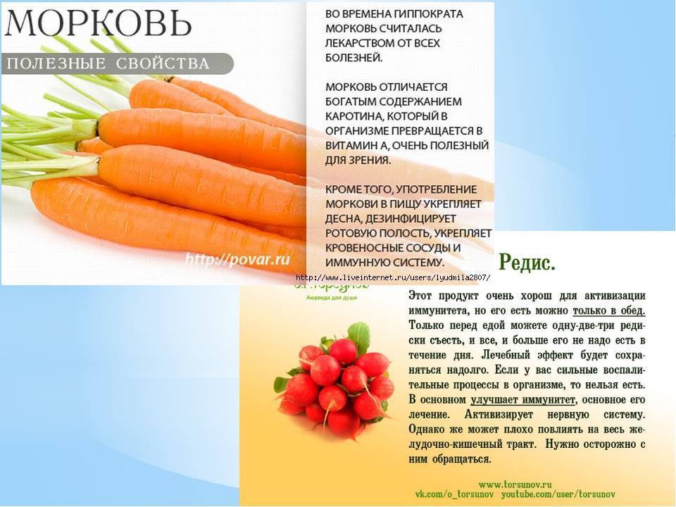 Сколько потребуется морковок. Морковь богата. Что полезного в моркови. Чем полезна морковь для организма. Для чего полезна морковь.