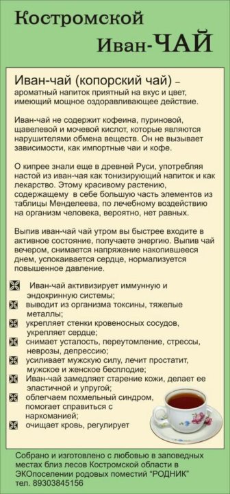 Зеленый чай повышает или понижает артериальное давление. Иван чай понижает давление. Можно ли Иван чай детям. Иван чай противопоказания и побочные. Иван чай и давление повышает или понижает давление.