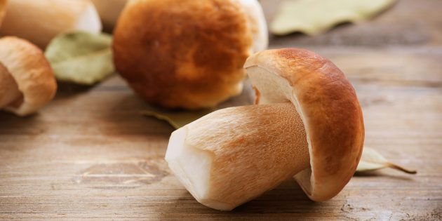 Как и сколько варить белые грибы: сырые белые грибы