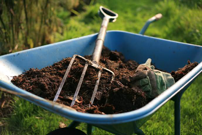 Для улучшения качественного состава почвы используется компост