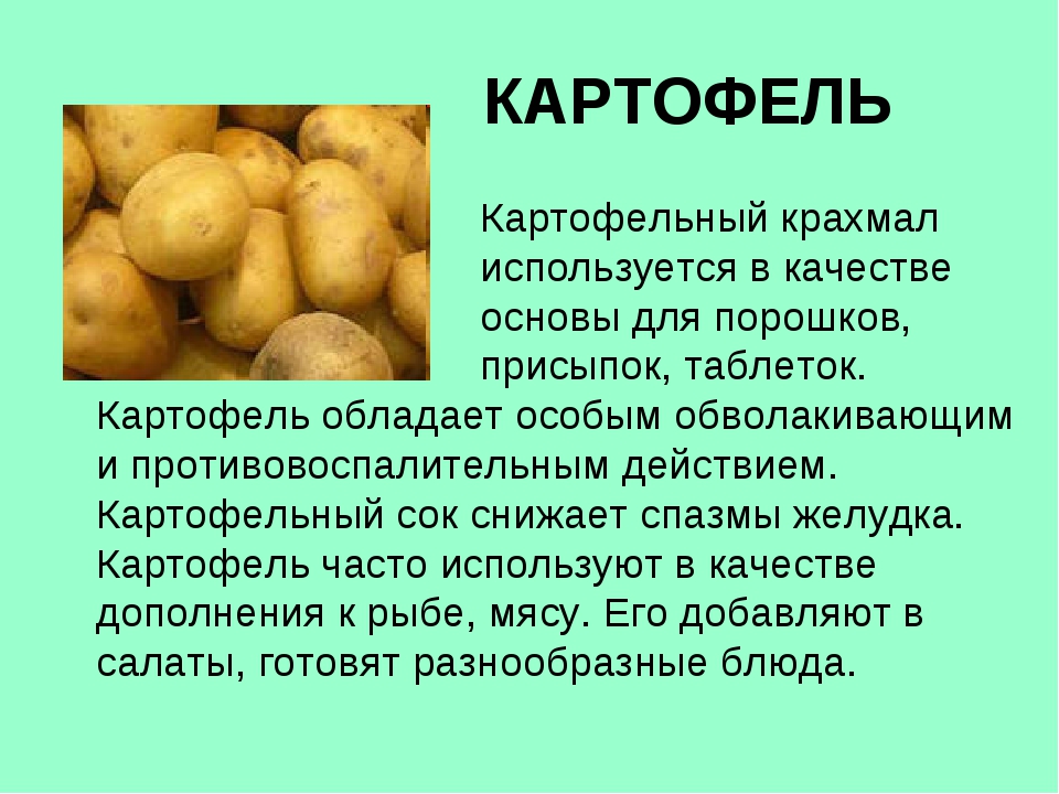 Что потребляют в пищу у картофеля