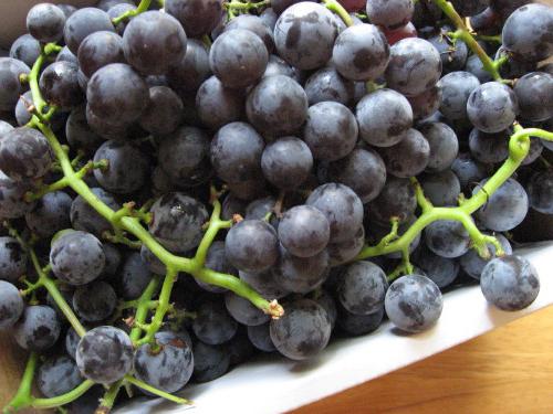 вкусный компот из винограда на зиму без стерилизации