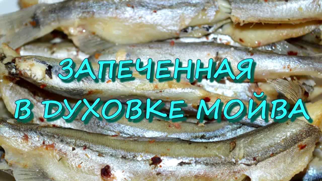 Мойва в духовке с корочкой рецепт. Шкара из мойвы в духовке с картошкой. Калорийность рыба мойва запеченная.