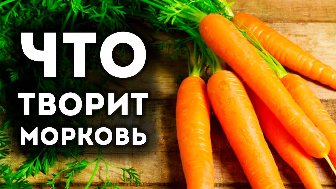 Ем морковь на ночь. Если каждый день есть морковь. Что будет если каждый день кушать морковь. Что будет если есть много морковки. Что делать если есть морковь.