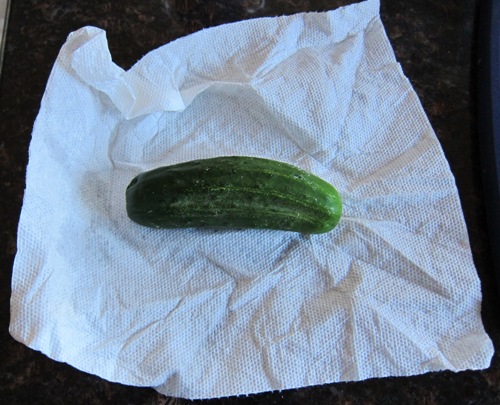 cucumber on a paper towel