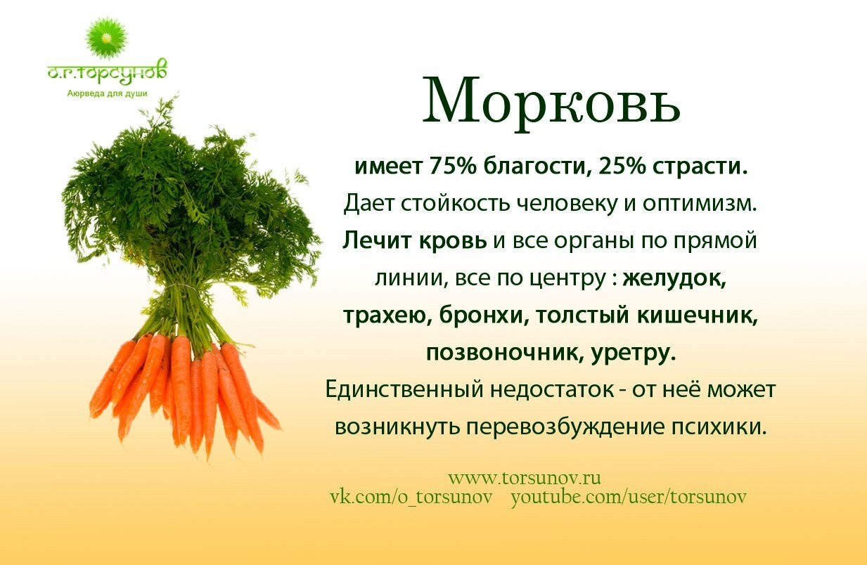 Морковь польза для организма. Факты о овощах. Овощи в благости. Интересное о продуктах питания. Полезные свойства продуктов.