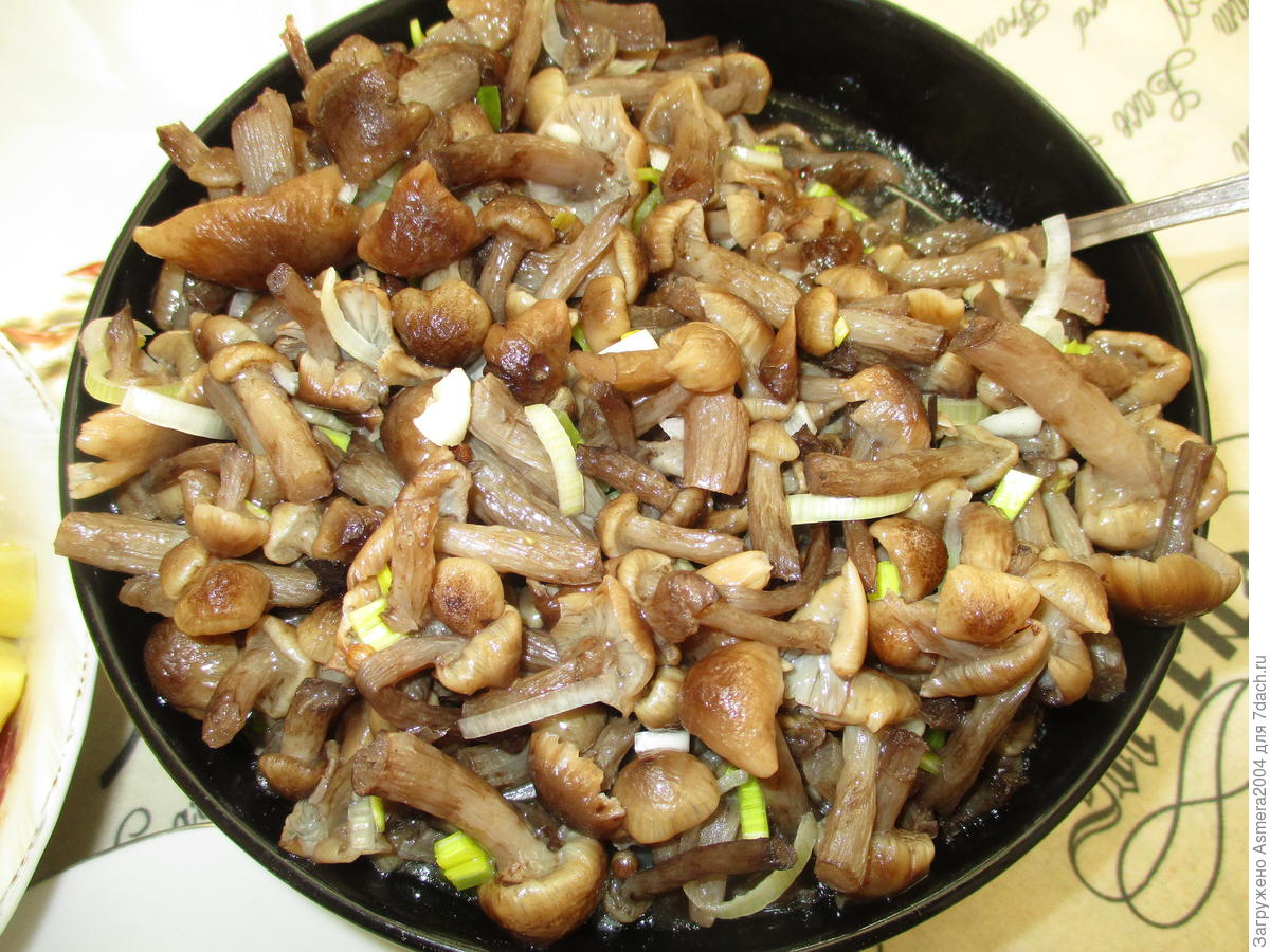 Простые рецепты с грибами на сковороде. Жареные грибы. Грибы гвоздики. Жареные Лесные грибы. Жареные грибы фото.