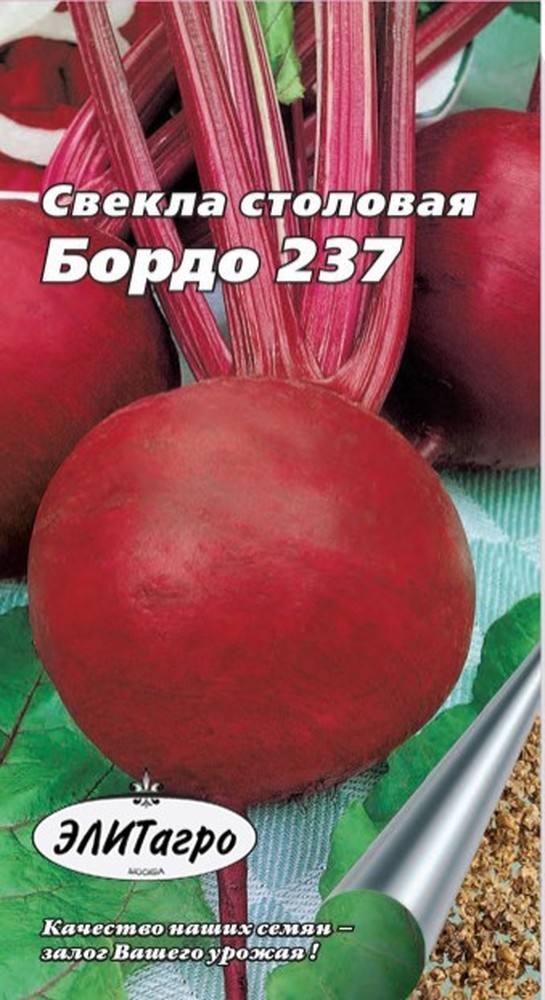 Свекла бордо 237 описание сорта. Свекла сорт «бордо 237». Свекла столовая бордо 237. Столовая свекла сорта бордо. Свекла бордо 237 описание.