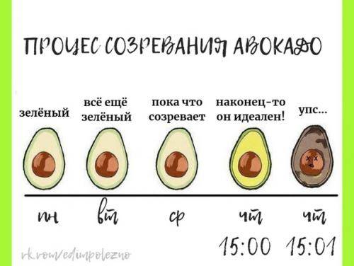 Спелее поняв. Степень зрелости авокадо. Таблица спелости авокадо. Стадии созревания авокадо. Таблица зрелости авокадо.