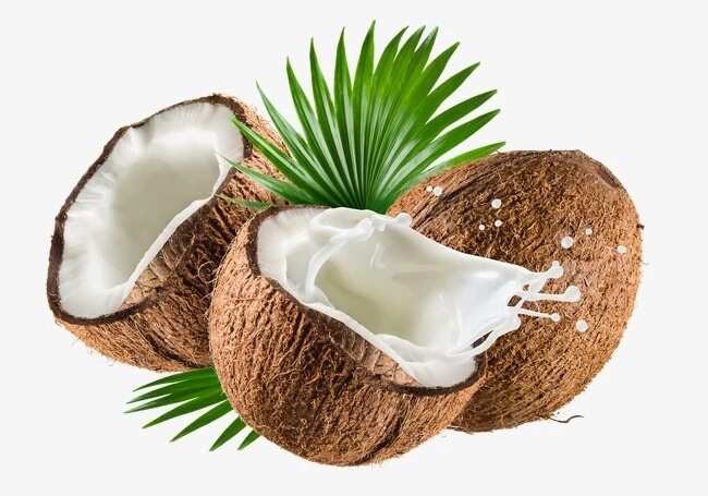 Coconuts during the pregnancy
