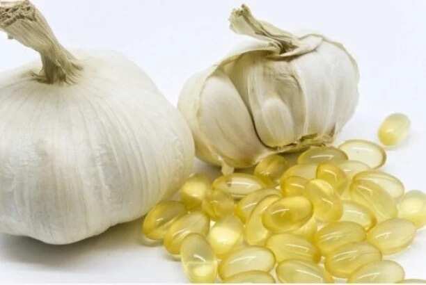 garlic in medicines