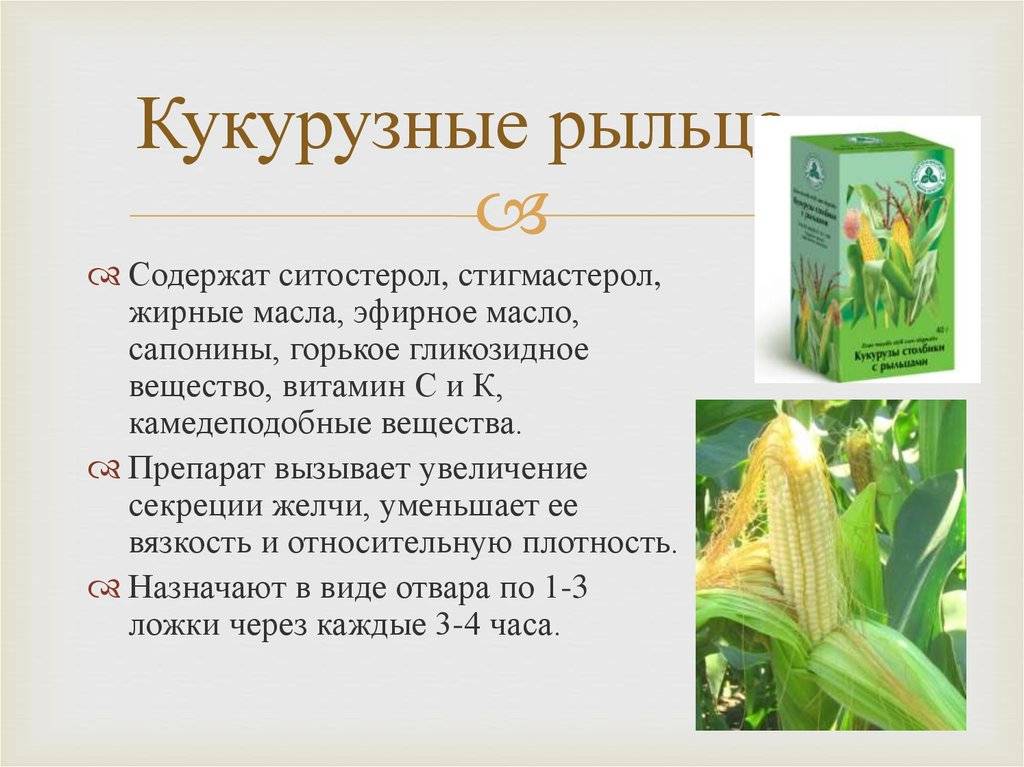 Можно кукурузу при сахарном диабете. Кукурузы столбики с рыльцами для чего. Кукурузные рыльца столбики показания. Столбики с рыльцами кукурузы применяют. Кукурузные рыльца лечебные.