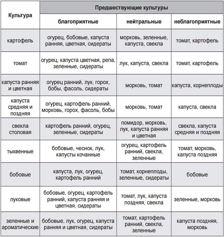 После какой культуры можно садить