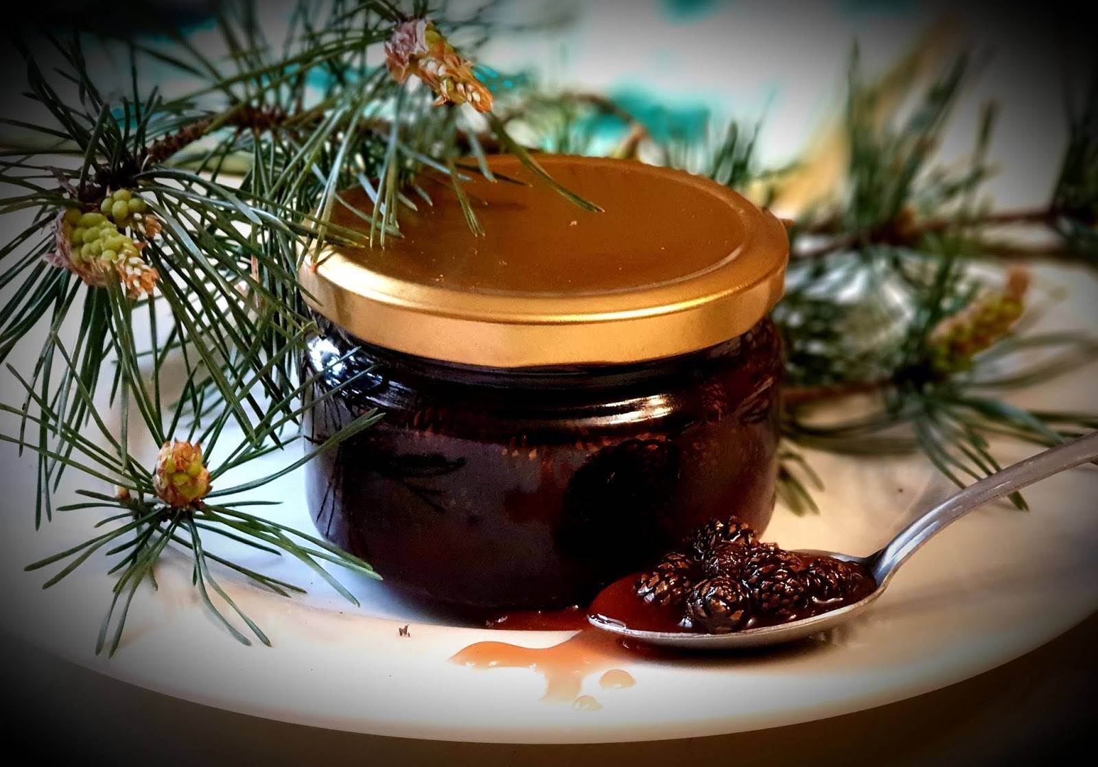Мед из сосновых шишек рецепты с фото пошагово